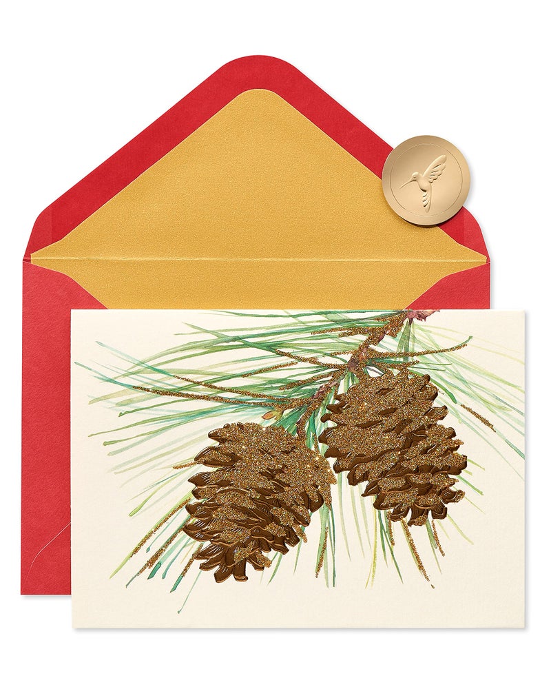 Papyrus Holiday Cards Boxed with Envelopes, Wonderful Year to Come, Pinecones (14-Count) - Image 1